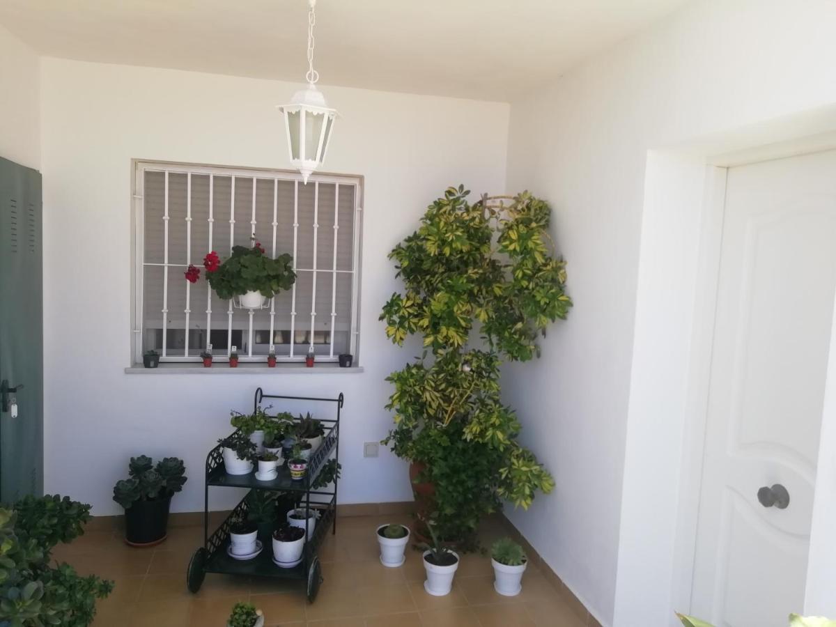 San Juan de los Terreros Las Gemelas De Terreros 1 מראה חיצוני תמונה