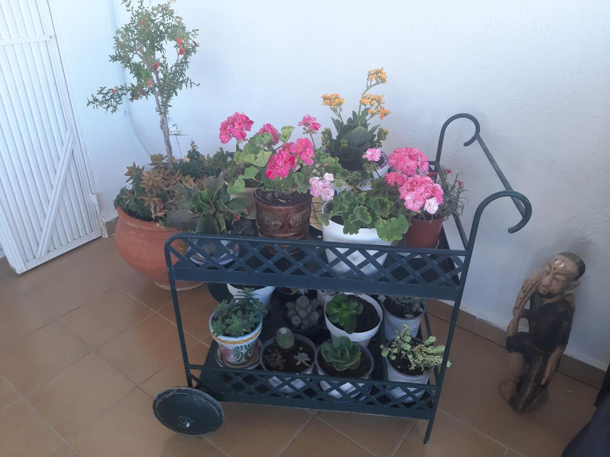 San Juan de los Terreros Las Gemelas De Terreros 1 מראה חיצוני תמונה