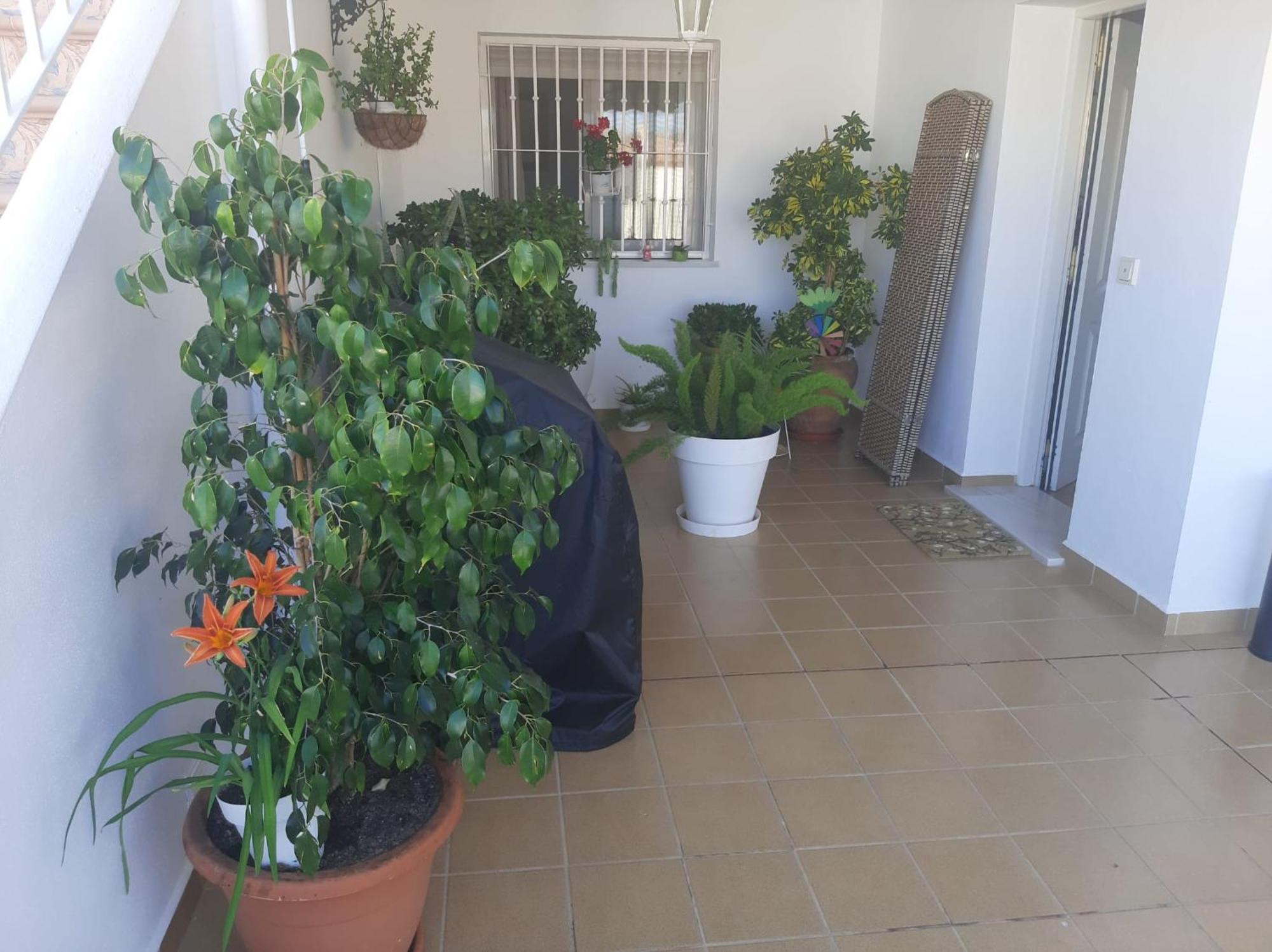San Juan de los Terreros Las Gemelas De Terreros 1 מראה חיצוני תמונה